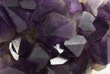 Deep Purple Amethyst Cluster - Congo #333229-1